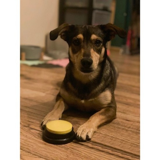 Κουμπιά ηχογράφησης  για εκπαίδευση σκύλου σε φωνητικές εντολές. 4 χρωματιστά  Purlov 24615