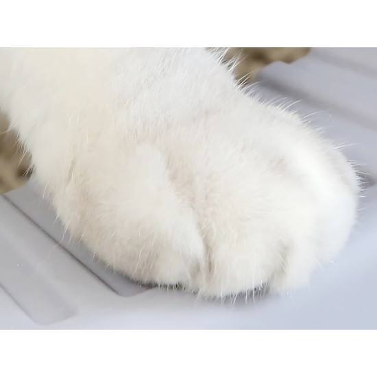 Ανοιχτή Τουαλέτα Γάτας με Υψηλό Περιμετρικό Τοίχωμα και Φτυάρι 54-19466