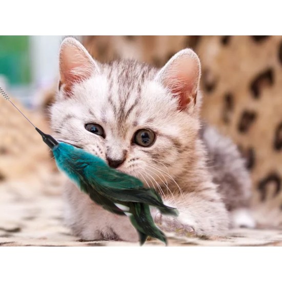 Παιχνίδι για Γάτες – Καλάμι με Πολύχρωμα Φτερά  055-19424