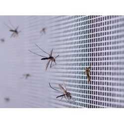  Μαγνητική Σίτα Παραθύρου Λευκή 150 x 180 cm – Με Ταινία Μαγνήτη  22p–24468