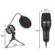USB Studio Μικρόφωνο με RGB Φωτισμό και Τρίποδο – για Gaming, Streaming, Καρδιοειδές Μοτίβο –8p-27597