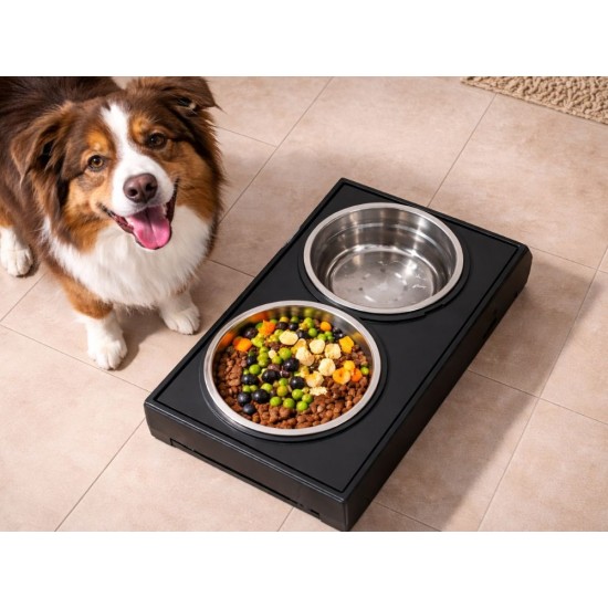 Διπλό Ανυψωμένο Μπολ Φαγητού και Νερού για Σκύλο και Γάτα με Βάση και Ανοξείδωτα Μπολ 115-19523