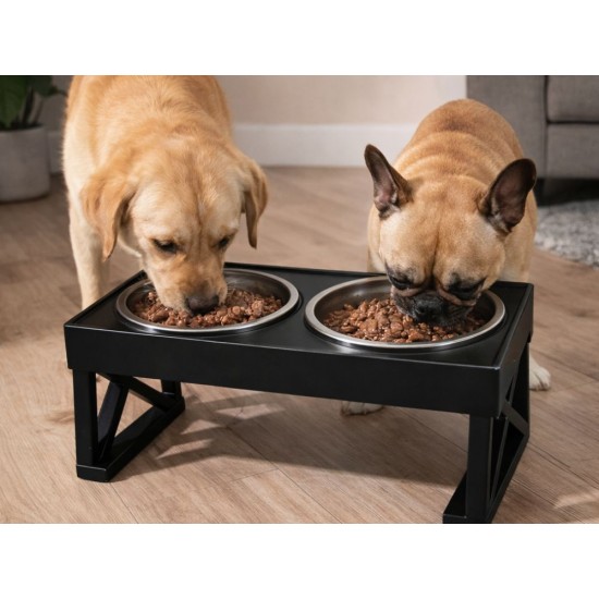 Διπλό Ανυψωμένο Μπολ Φαγητού και Νερού για Σκύλο και Γάτα με Βάση και Ανοξείδωτα Μπολ 115-19523