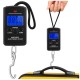 Ψηφιακή Ζυγαριά Αποσκευών Χειρός Zortiva έως 40kg με LCD Οθόνη και Γάντζο - 2-28069