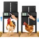 Αυτόματη Πόρτα Κοτετσιού με Χρονοδιακόπτη LCD Προστασία Παγίδευσης και Μπαταρίες Μαύρη - 14-5158
